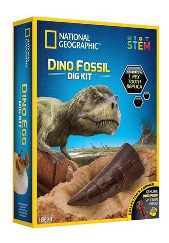 Imagen 1 de 5 de National Geographi Dinofosil Juguete Paleontologia Educativo
