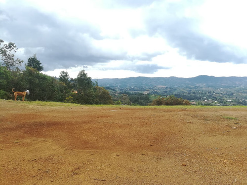 Lote Guarne Vereda La Mosquita Excelente Ubicación