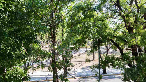 Imagen 21 de 24 de Departamento 2 Dormitorios Venta La Plata Frente