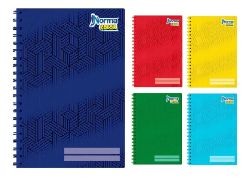 5 Cuadernos Profesional C.grande Doble Espiral Colors 360