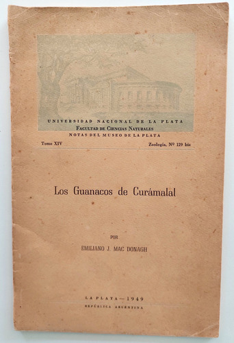 Guanacos De Curámalal Emiliano Mac Donagh 1949 Museo Plata