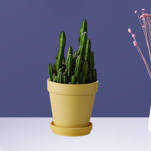 Maceta De Macetas De Flores, Decoración De Mesa De Interior