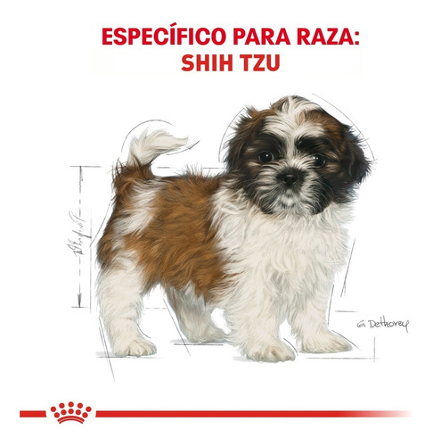 Imagen 5 de 7 de Royal Canin Shih-tzu Puppy 1.1kg