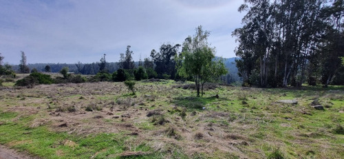 Venta Parcela, En Condominio Camino A Leyda