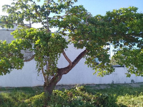 Vendo Um Exselente Terreno Em Um Condominio Fechado, Ótimo Para Residencia