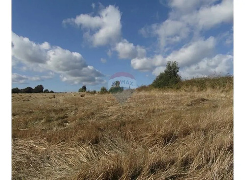 Terreno 4,8 Ha En Temuco ¡ideal Para Un Proyecto!