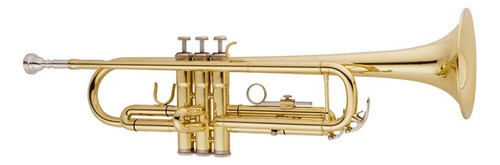 Trompete Vogga Vstr701 Laqueado Acompanha Case Térmico