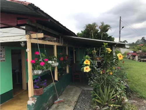 Venta Finca Productiva Cafe Platano Pasto Circasia - 23 Cuadras