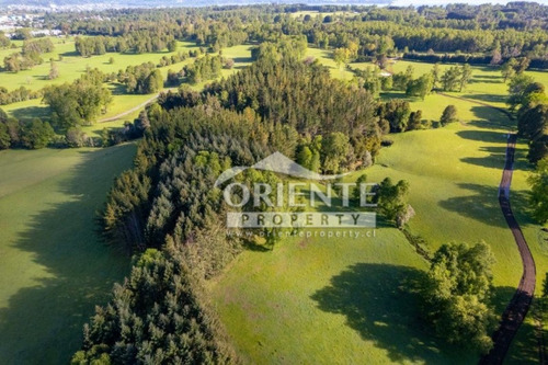 Parcelas Villarrica 5000 M2 - Segunda Faja - Colegio Ingles