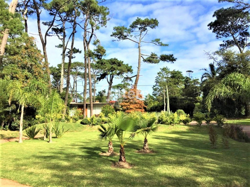 Imagen 3 de 22 de Casa En Venta Punta Del Este Playa Mansa