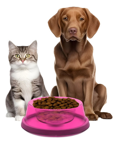 Platos Para Gatos Dispensador De Comida Perros Bebedero Gato