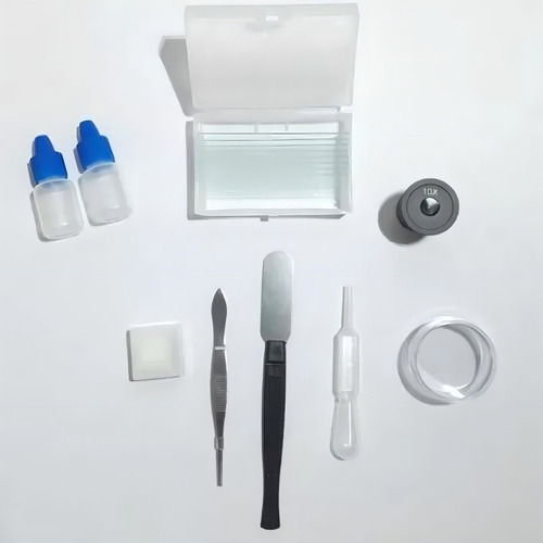 Microscópio Monocular 640x +câmara Neubauer Contagem Células Cor Branco 110v/220v