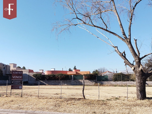 Imagen 2 de 4 de Terreno En Venta En Juana Koslay