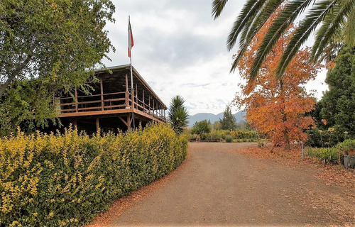Venta De Parcela De 20.000 M2, Hermosa Y Productiva, En El M