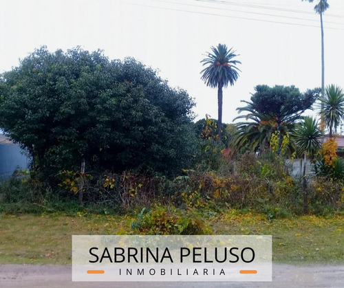 Imagen 5 de 14 de Terreno - Marcos Paz