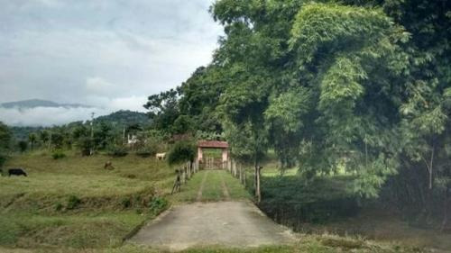 Imagem 5 de 14 de Sítio Em Pedro De Toledo-centro 4dorm Fácil Localização 3634