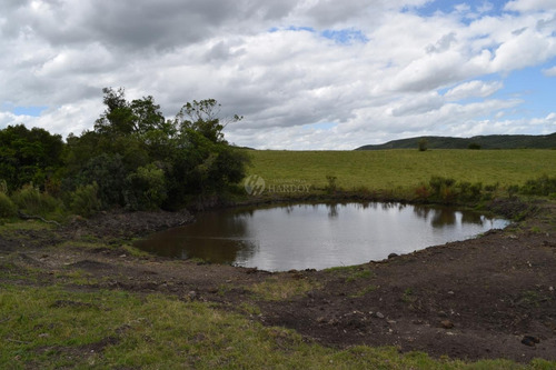 Imagen 13 de 21 de Venta Chacra Sierra Ruta 39 Aigua Sierra De Los Caracoles Maldonado