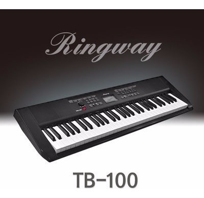 Teclado Organo Ringway Tb100 Sensibilidad C/adaptador