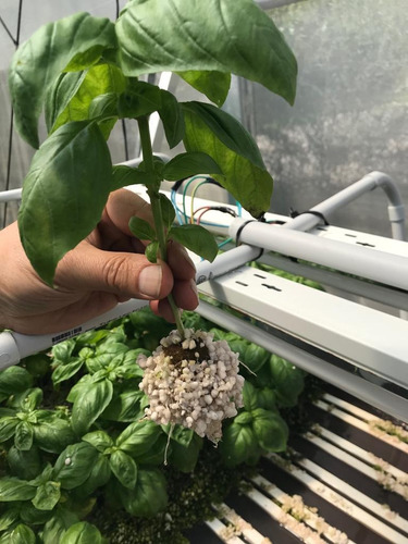 Perlita Agrícola Bolsa De 125lts