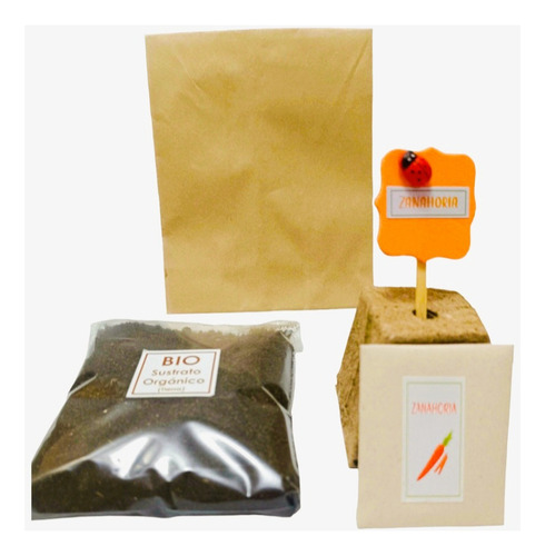 Kit Huerta Semillas Suvenir Regalos 35 Kit