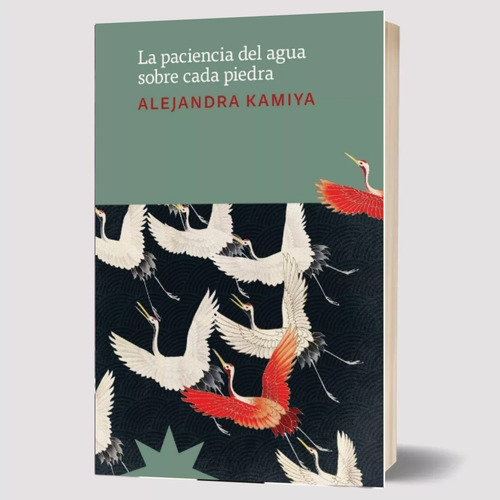 La Paciencia Del Agua Sobre Cada Piedra Alejandra Kamiya