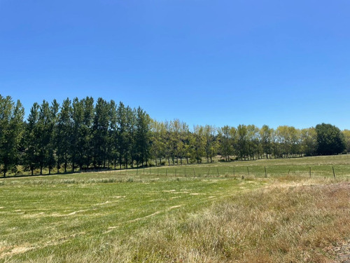 Imagen 5 de 10 de Parcela En Yumbel De 15.000m2