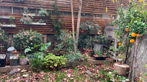 Dueña Vende Depa Patio Propio.