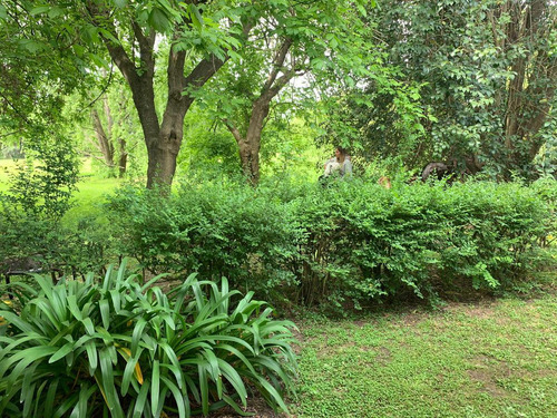 Quinta Quinta En Venta - 4 Dormitorios 3 Baños - 13.500mts2 - Esteban Echeverria