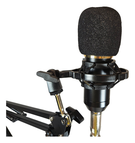 Kit Streaming Microfono Estudio Atril Filtro Bm800k Cipriani