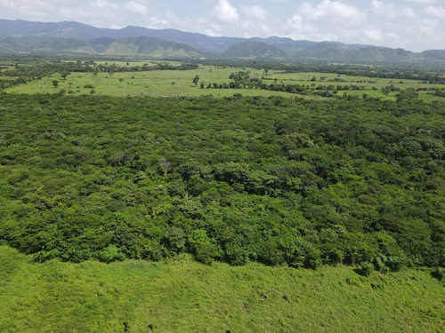 Imagen 13 de 30 de Finca En Venta Aguadagrande, Siquisique Cod. 23-7859