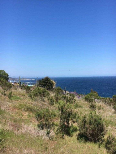 Imagen 11 de 20 de Terreno En Venta Zapallar Vista Mar