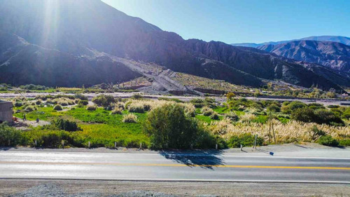Venta Terreno En Purmamarca Sobre Ruta 5.387,54m²