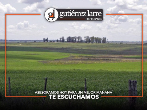 Buen Campo Agrícola, Ganadero, Forestal. Lindo Casco Y Costa