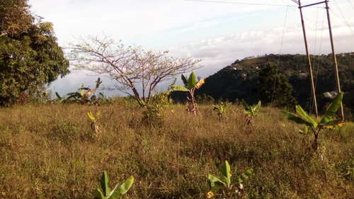 Imagen 6 de 11 de Parcela Campesino Caoma Carayaca