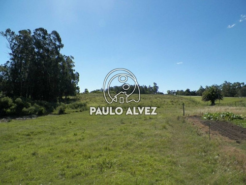 Imagen 15 de 22 de Chacras-venta-cerros-azules-ch064