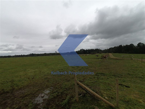 Agrícola Ganadero En Venta En Los Muermos