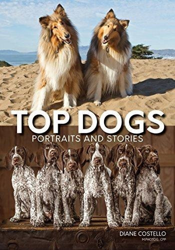 Top Dogs: Portraits And Stories (libro En Inglés)