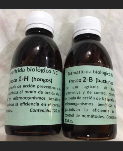 Bacillus Y Hongos Nematicidas