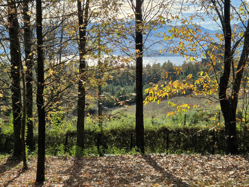 Parcela En Pucón, Los Riscos