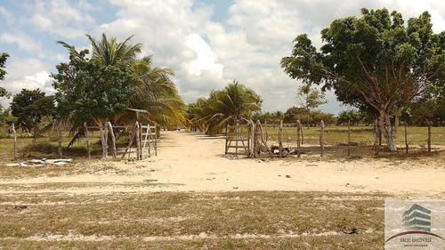 Imagem 30 de 30 de Granja A Venda Entre Monte Alegre E Brejinho