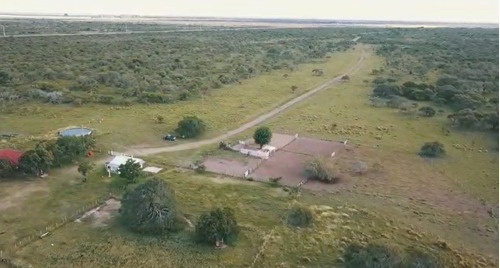 Imagen 10 de 15 de Campo Ganadero