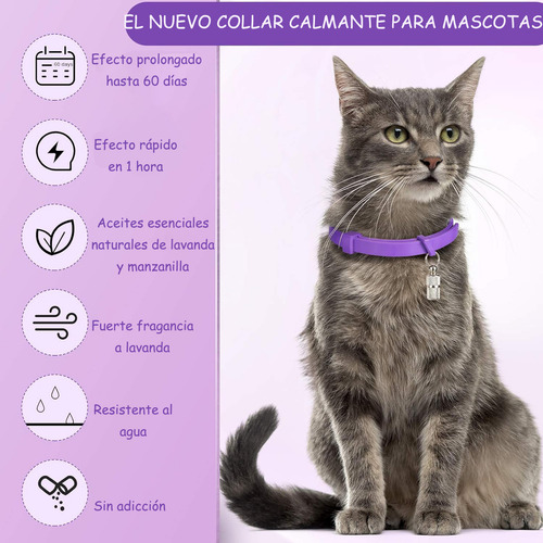 Collar Calming Para Gatos Calmante Tranquilizante
