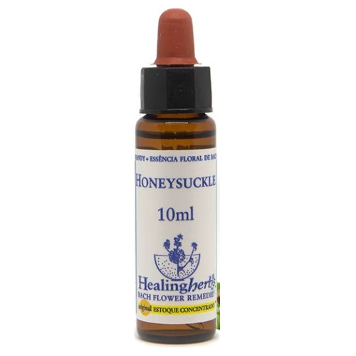 Honeysuckle 10ml Estoque - Healing Herbs
