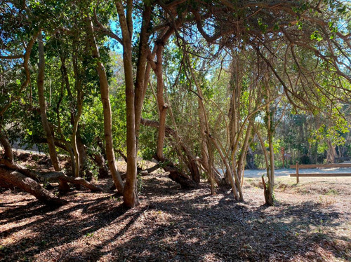 Imagen 11 de 14 de Bosques Fundo La Laguna