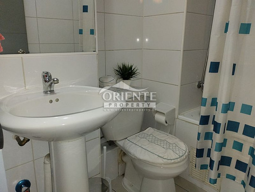 Santiago Centro Departamento Con Opción De Novación