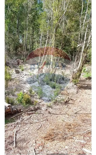 Venta De Parcela Colonia 3 Puentes. Puerto Varas