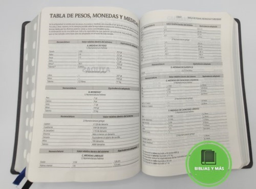 Biblia Rvr1960 Indices Y Letra Grande Concordancia Amplia