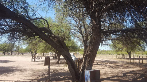 Campo En Venta Villa Quilino - Campo Ganadero Con 2 Casas