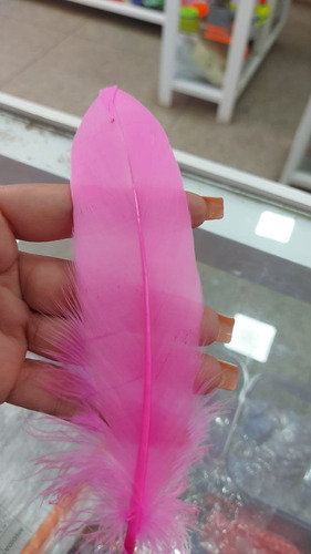 Imagen 5 de 5 de Plumas De Colores