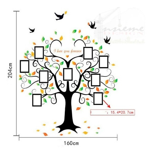 Vinilo Sticker Decor Mural Arte Pared - Arbol Fotos Negro